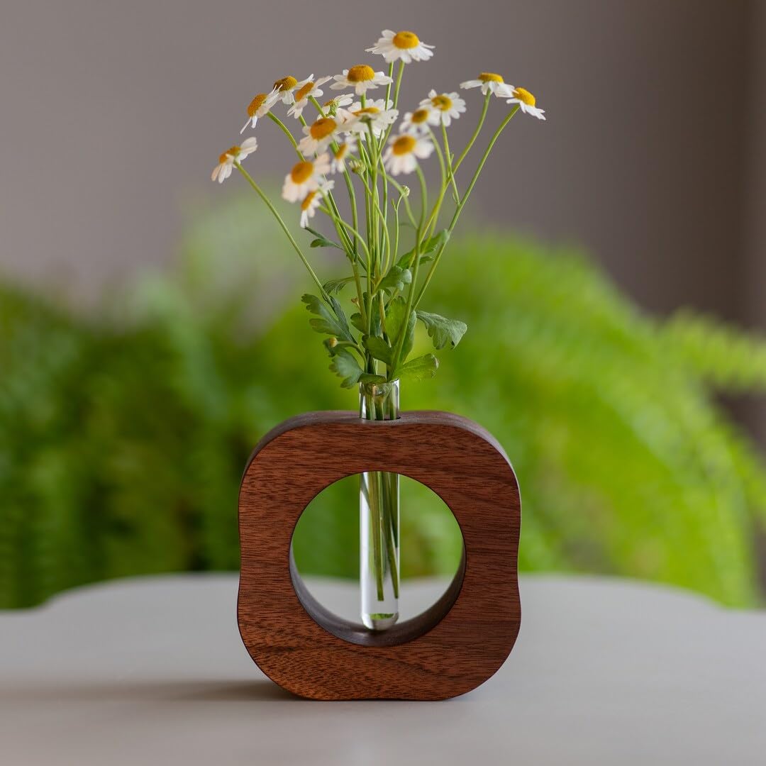 Sheesham Wood Premium Test Tube Plant & Flower Vase with Glass Tube Planter Home Decor, Walnut Wood Frame Propagation, 12.5 cm x 17 cm, Table Decor-image-33