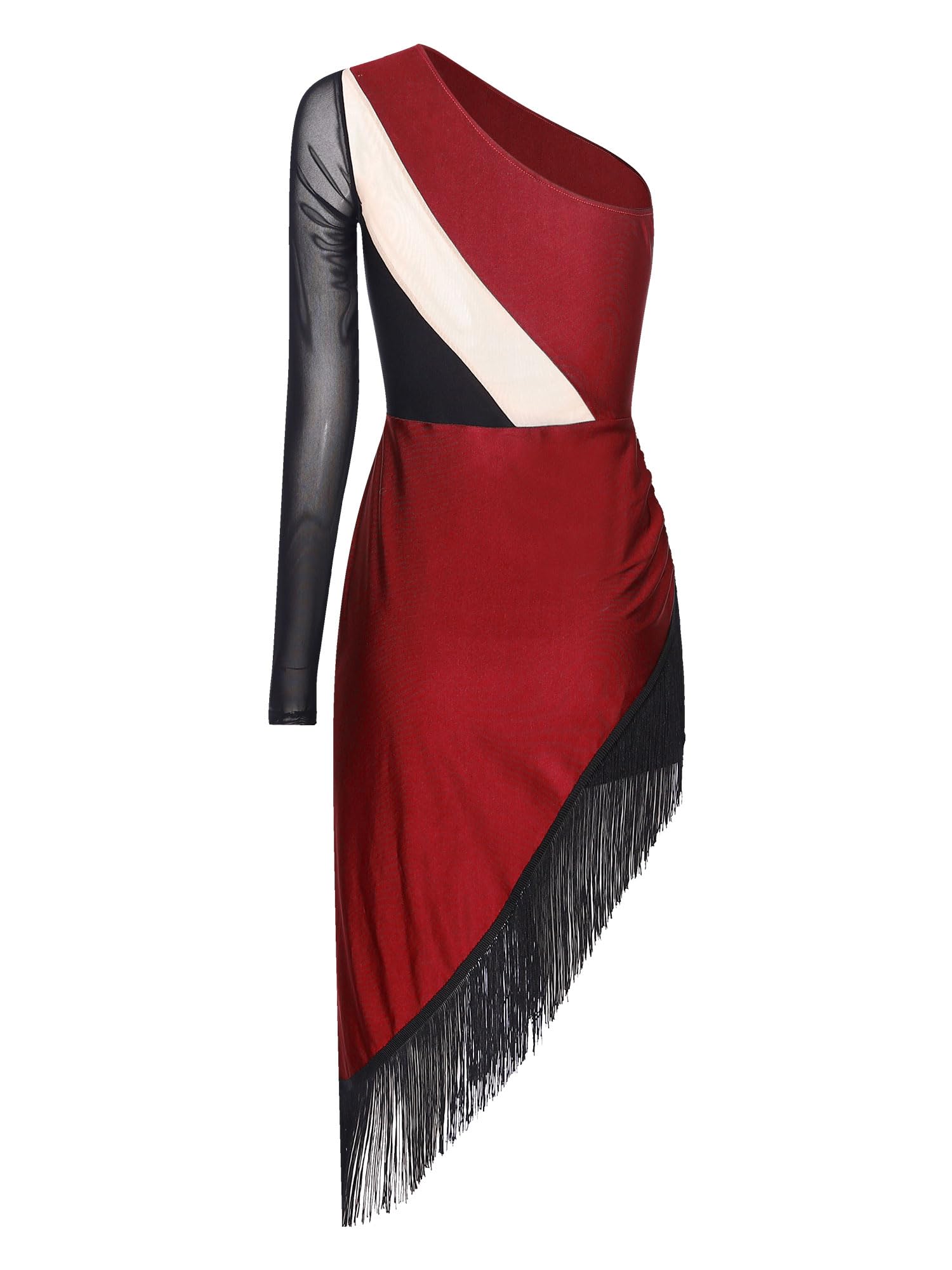 Alvivi Vestido de Baile Latino Tango Mujer Manga Larga Maillot Danza Ballet Flecos Disfraz Competición