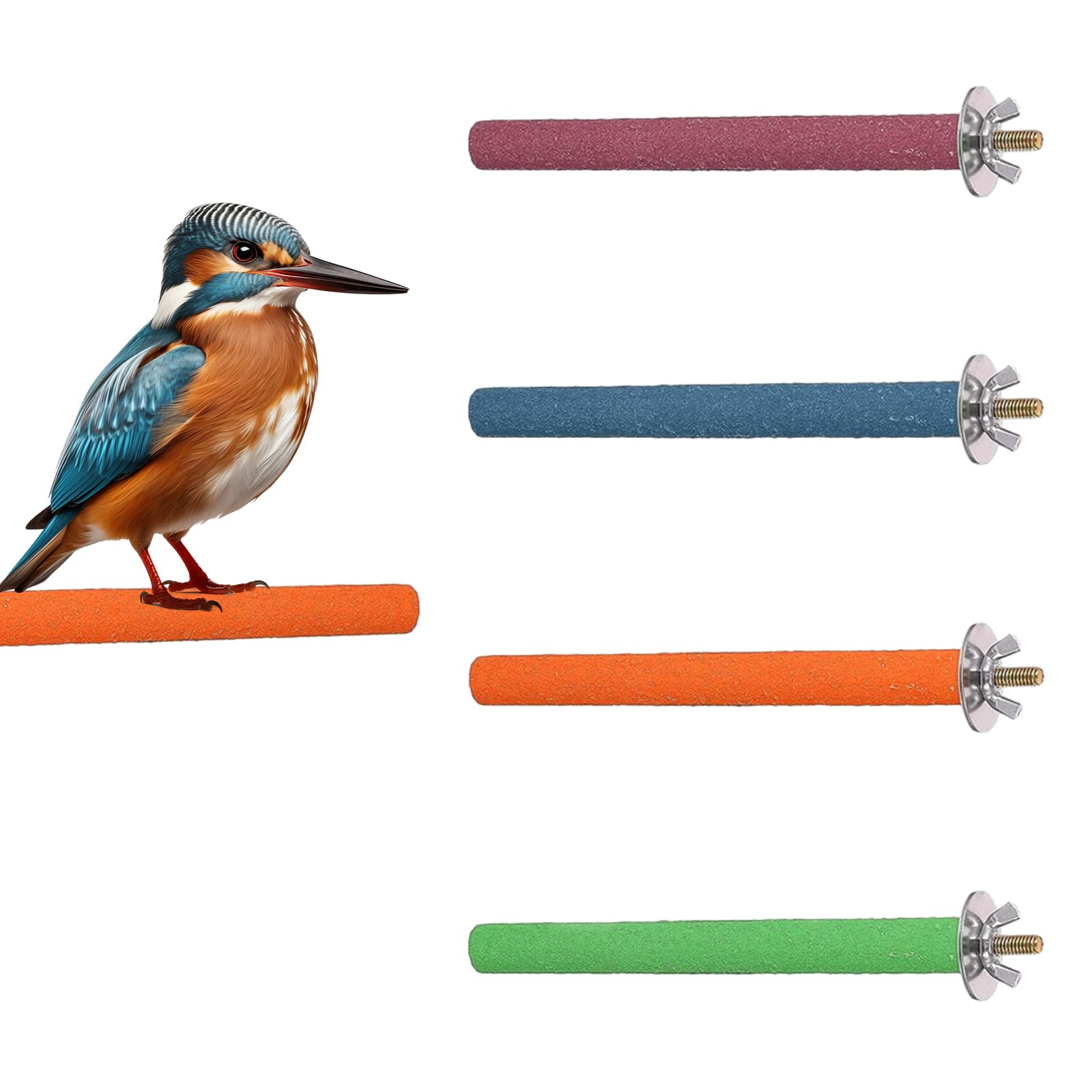 6 perchas para loros, percas para loros, periquitos, patas de pájaro, soporte para loros, jaula de pájaros, soporte de madera para pájaros, loros para entrenamiento de jaulas (color al azar)