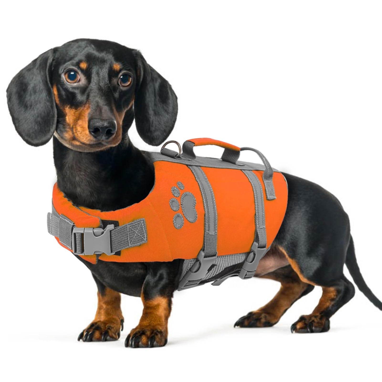 Queenmore Hundeschwimmweste, klein, reflektierend, leicht, mit Rettungsgriff, Welpen-Schwimmweste für Chihuahua, Yorkie, Shih Tzu, Pudel (Orange, S)