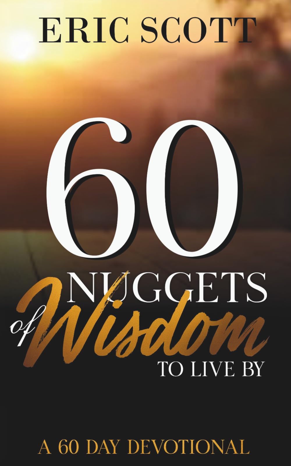 60 Nuggets of Wisdom to Live By: A 60 Day Devotional