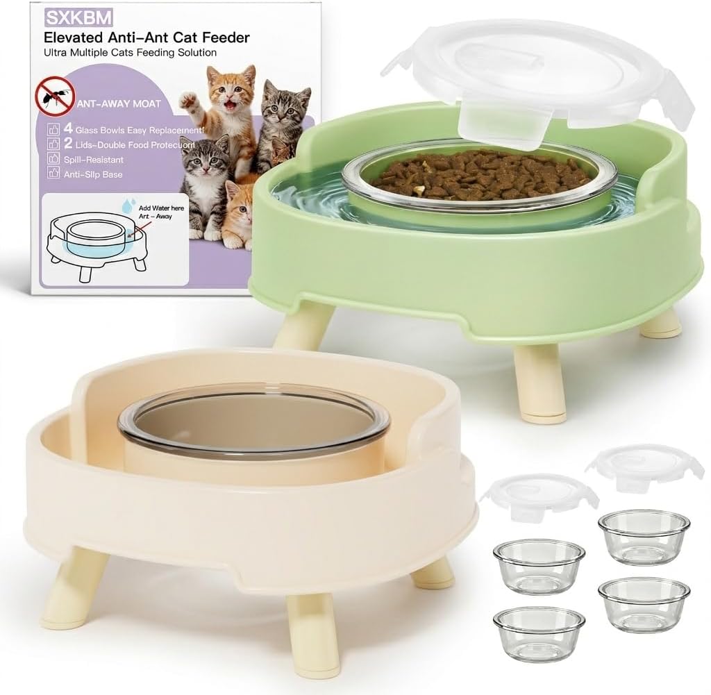 2 Pack Ant Not Cross Elevated Cat Bowls Mess Proof-4 Food Grade Glass Bowls & 2 Lids- No Spill Cat Food and Water Feeding Station for Cats&Puppy Indoor & Outdoor,No Whisker Fatigue Dish