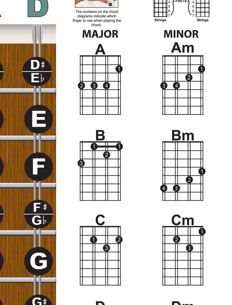 Bouzouki Fretboard Notes & Easy Beginner Chord Chart Instructional Poster CFAD GREEK Tuning by A New Song Music 11"x17" - Image 4