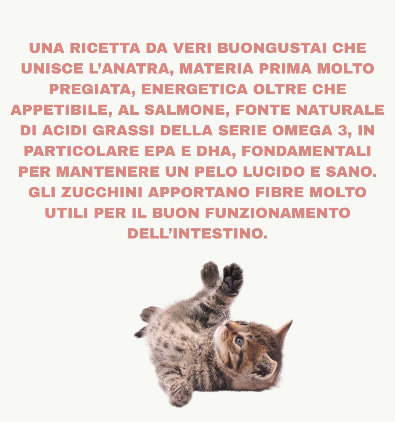 Natural Code húmedo para gatos adultos con sabor a salmón y pato, número C04, suaves sacapuntas en agua de cocción para gatos adultos de todas las tallas, altamente digerible | 12 sobres de 70 gramos