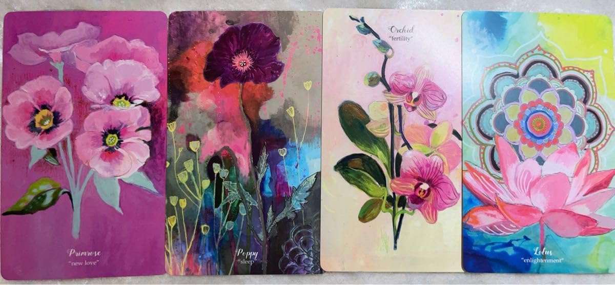 Amazon.co.jp: 正規品 フラワーメディスンオラクルカード 海外