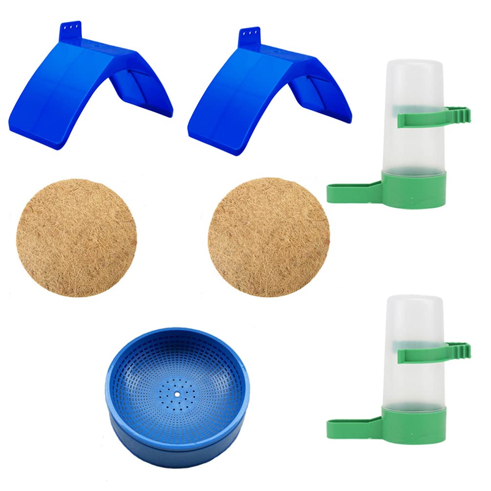 10 Best Automatic Macaw Bird Feeders for HassleFree Bird Feeding