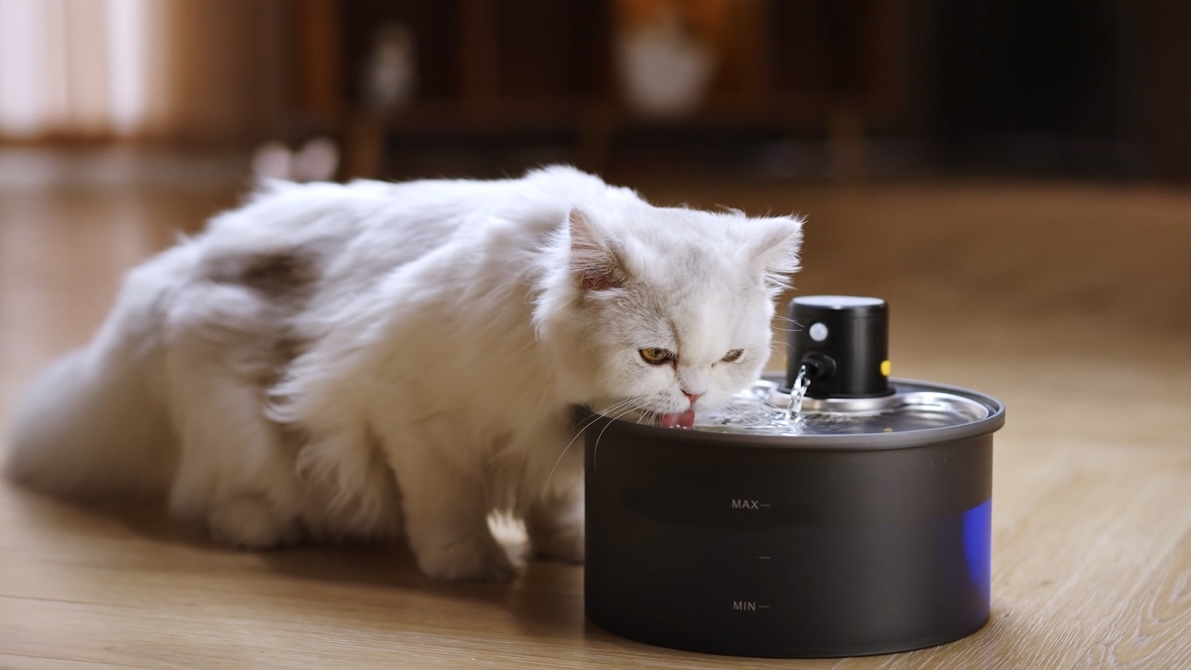 Battery Operated Cat Water Fountain: Wireless Pet Fountain - 108oz/3.2L  Cordless Cat Dispenser with Motion Sensor Rechargeable Automatic Drinking  Fountains for Cats - with 6 Filters + 3 Foam Filters : Amazon.co.uk: Pet  Supplies