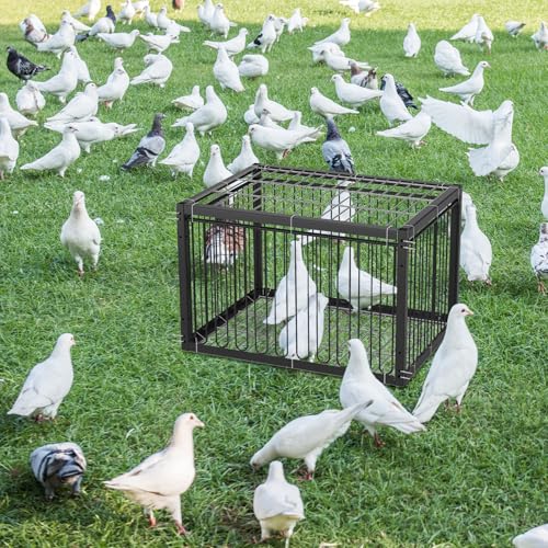 MUALROUS 43CM Piège à Pigeons avec Conception à l’Épreuve De l’Évasion Pigeon Dove Piège à Oiseaux Cage Pliant Entrée à Sens Unique Patio Extérieur Jardin...