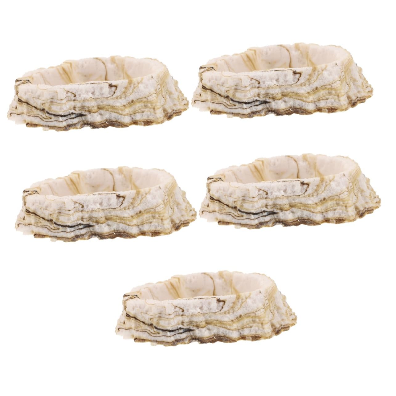 Toddmomy 5piezas Tazón De Alimentación y Agua para Reptiles Plato De Resina para Terrario Diseño Estable y Duradero para Comida y Bebida De Mascotas Reptiles Accesorio De Terrario para