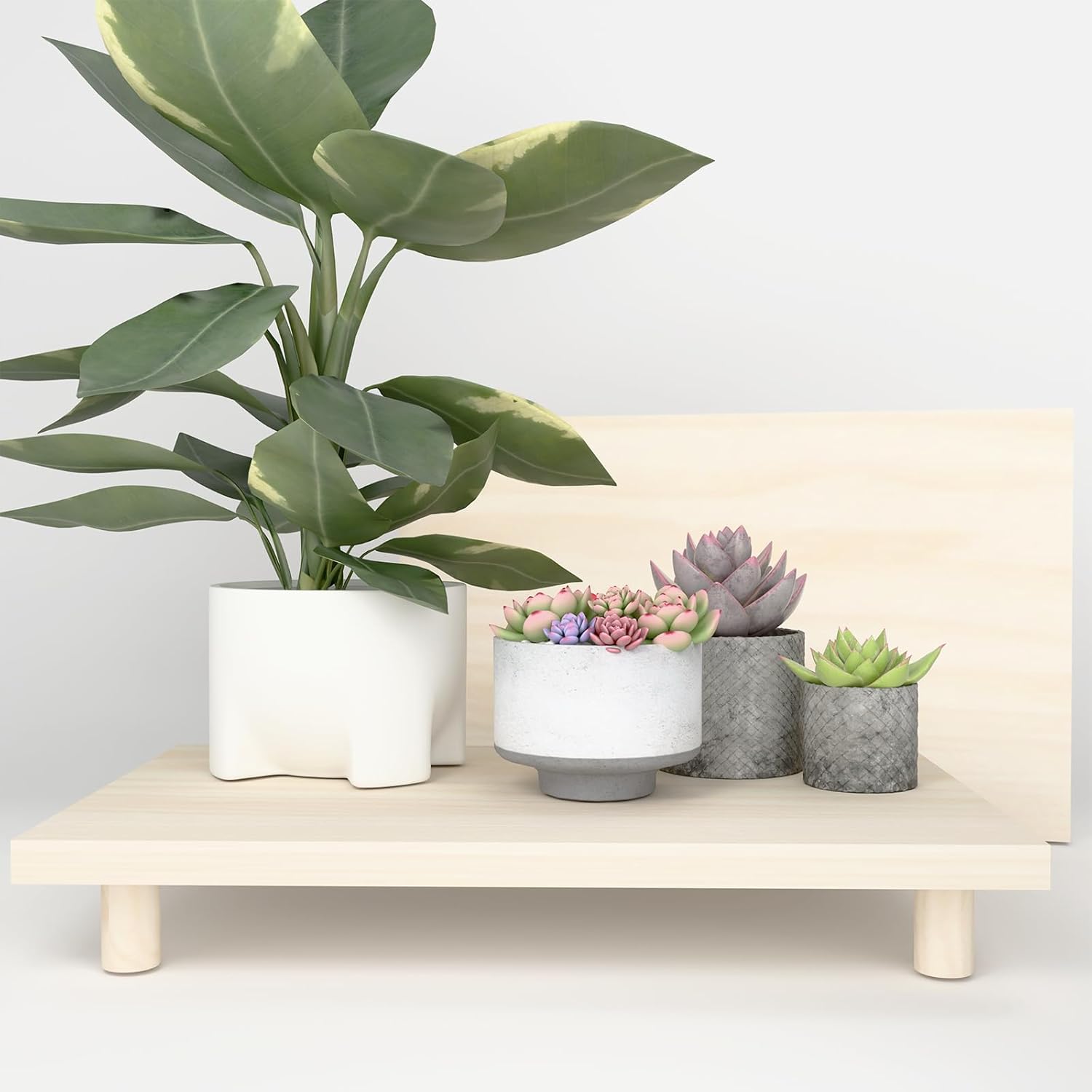 Heavy Duty Solid Wood Plant Stand, 75lb Capacity Solid Wood Desktop Shelf 50x25x9cm (19.7"x9.8"x3.5"), Super Strong Table Organizer for Heavy Pots Herbs Succulents