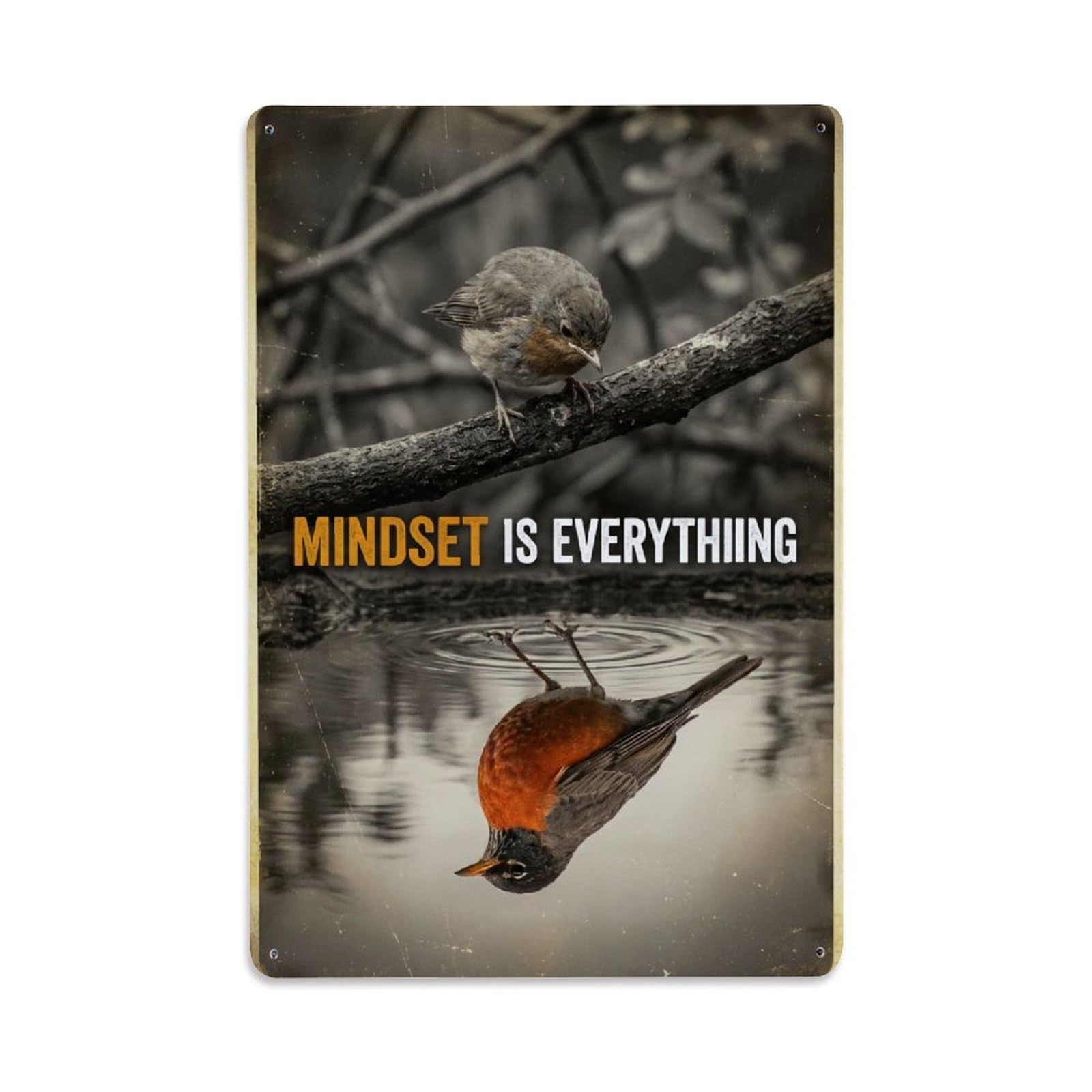 Mindset Is Everything Robin Animal Motivation Quote Metal Tin Sign