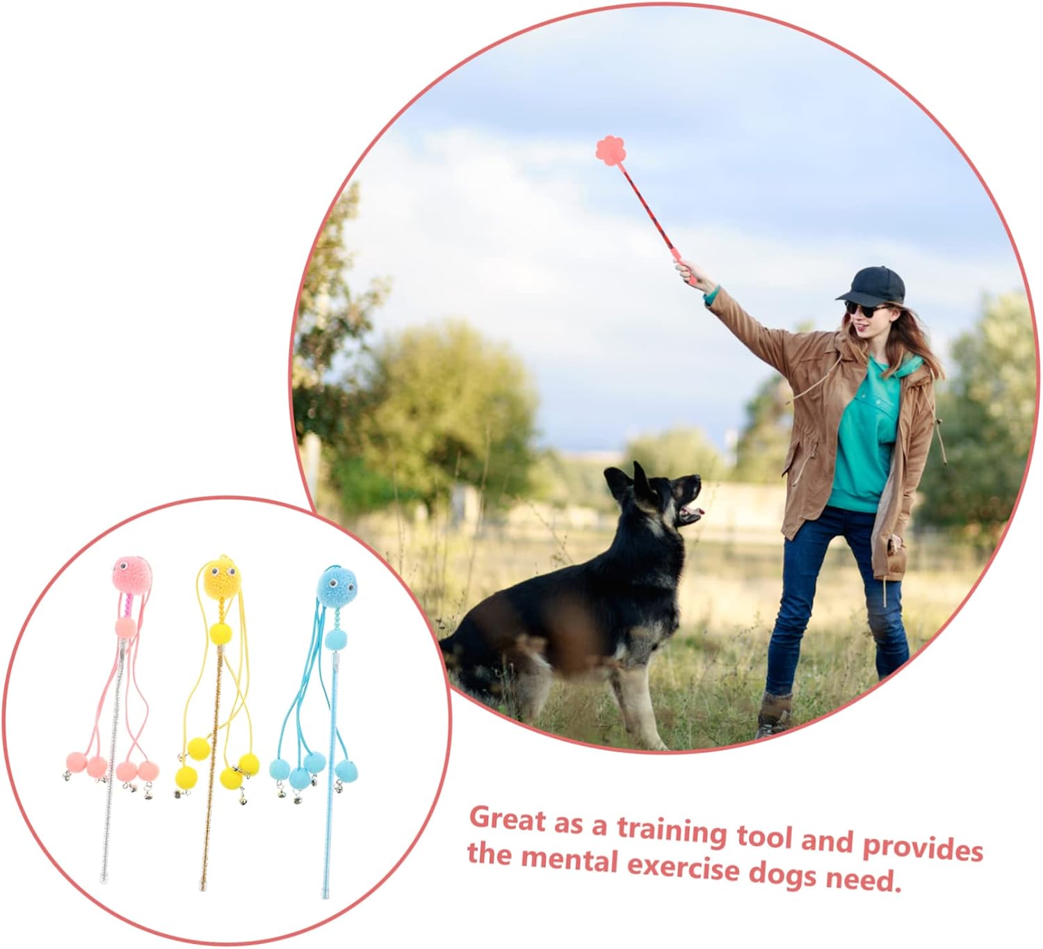 Pet Training Equipment Dog Training Paw Clicker Non-Harmful Dog Training Tool for Sizes Dogs