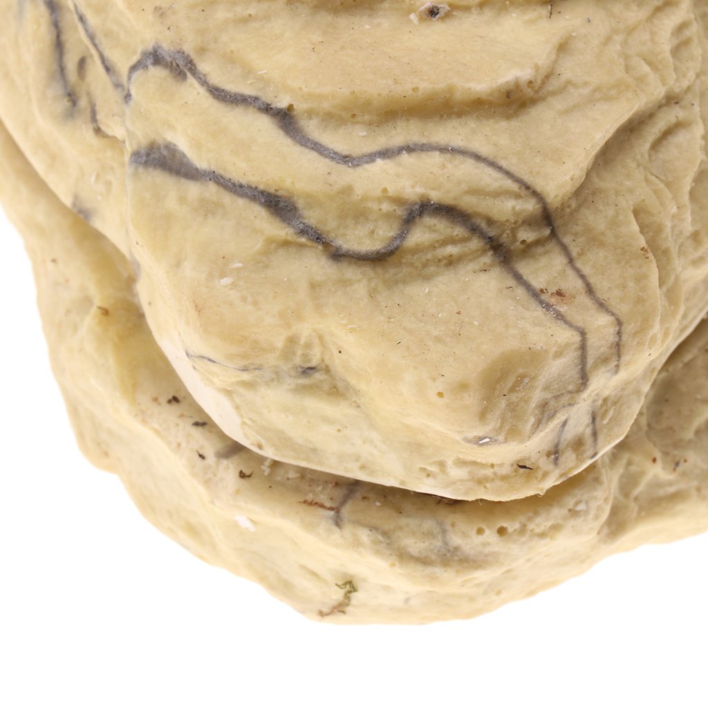 Set di 2 grotte nascoste in resina per rettili con coperchio, decorazione ornamentale a forma di tartaruga a forma di pesce