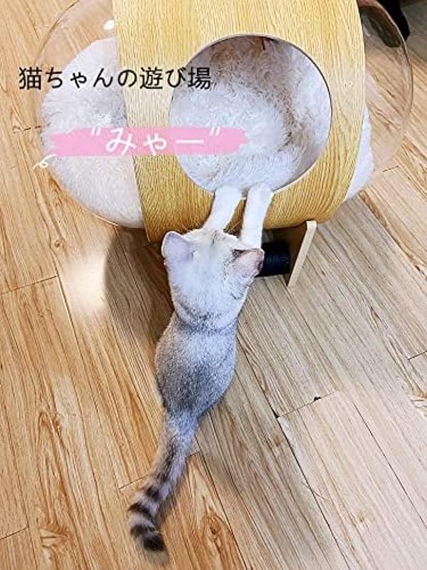 Amazon | Zorimuナチュラル 木製猫宇宙船ハウス 爪とぎ & クッション