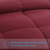 Vista 3 de EASELAND Edredón alternativo de plumón tamaño completo, relleno de edredón acolchado para todas las estaciones, suave y ligero con pestañas