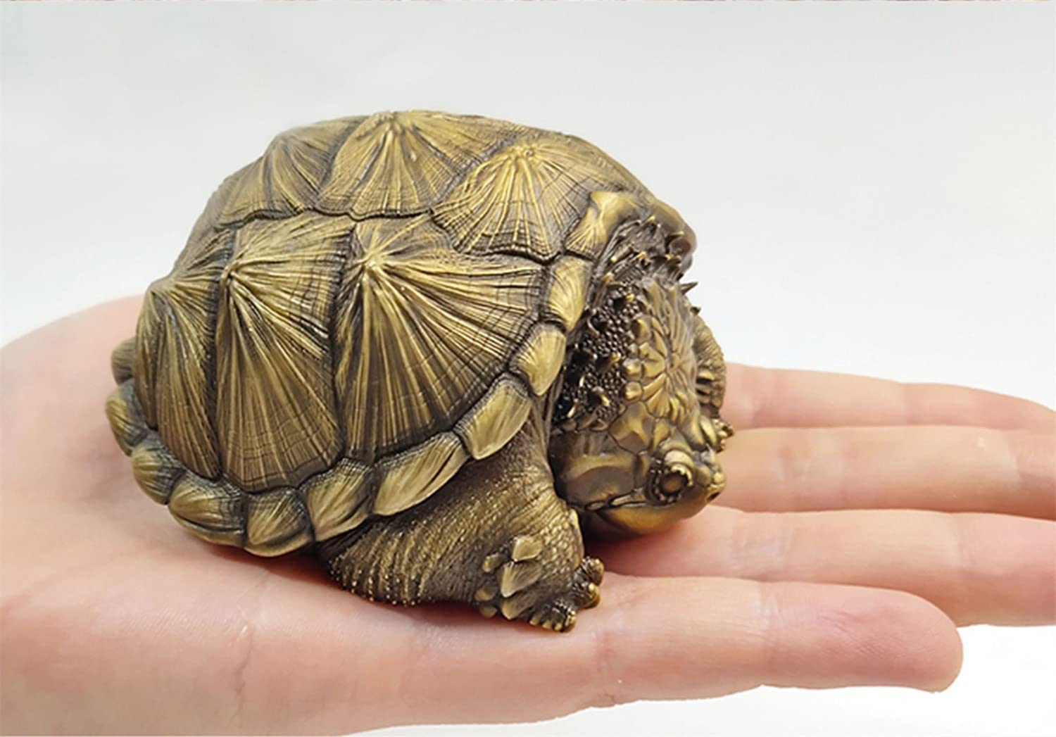 亀の彫刻品 Amazon.co.jp: IWOWHERO 幸運の彫刻 海岸の彫刻 亀の図 中国の