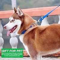 Vista 6 de Ganchos de doble extremo, acero inoxidable de doble extremo resistente para cubo de agua, correa de perro, cubo de alimentación de mascotas, hamaca