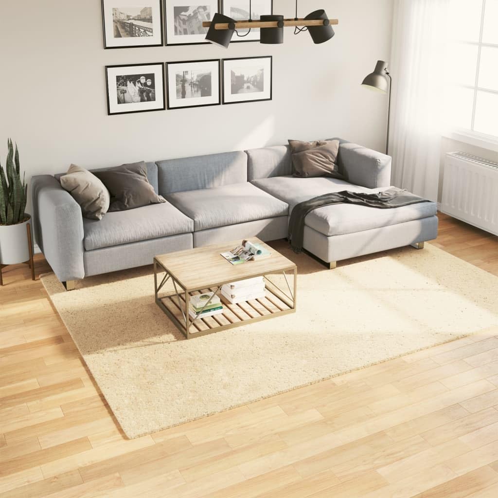 Tapis doux lavable fini les taches et glissades dans le salon