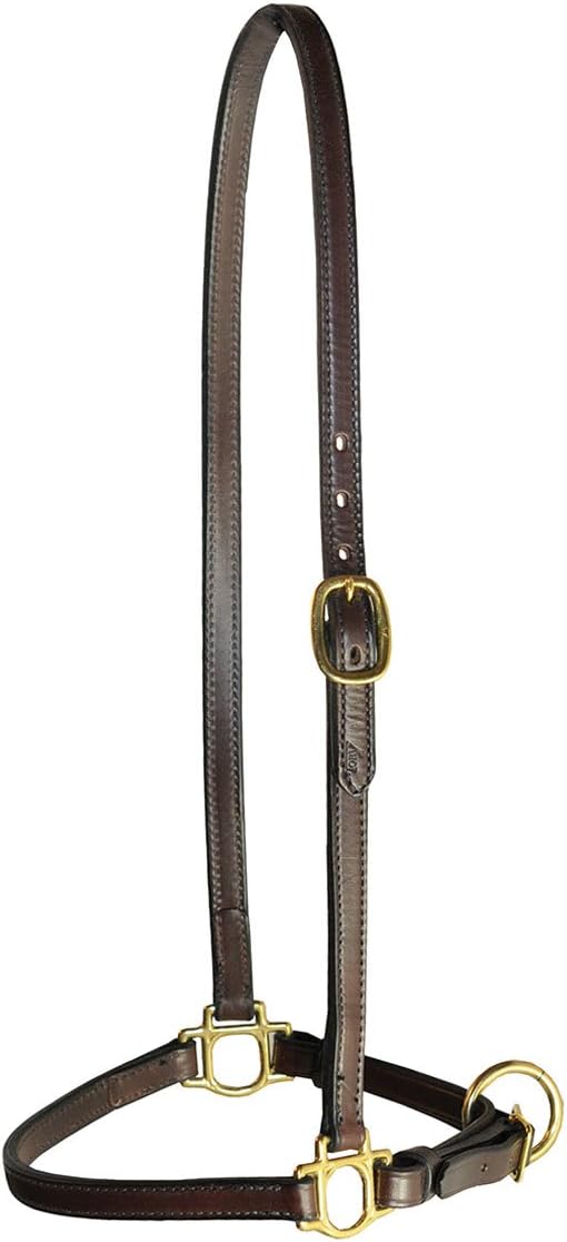 Tory Leather 3/4" Grooming Bridle Leather Halter