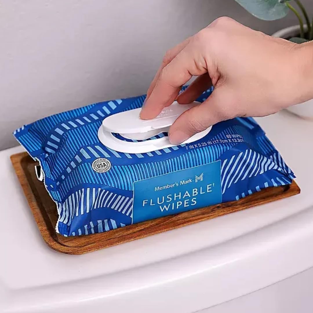 Fresh Scent Flushable Wipes, 9 pack of 60 wipes, 540 Count (9 Count(1 Pack))