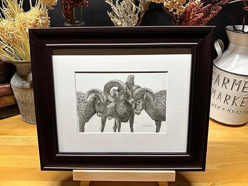 Rams Nature Wildlife Graphite Pencil Art Sketch Drawing Print Picture Limited Edition Titled 'Family Strong' by David Allen (11x14 Brown Frame &