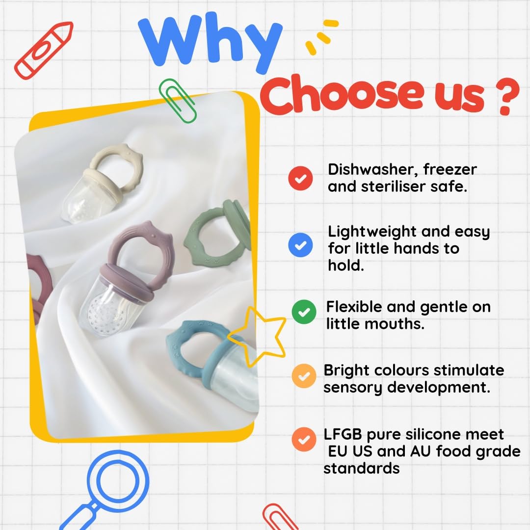WeSweet Teething Dummy Fruit Feeder for Baby 4M+ - Image 4