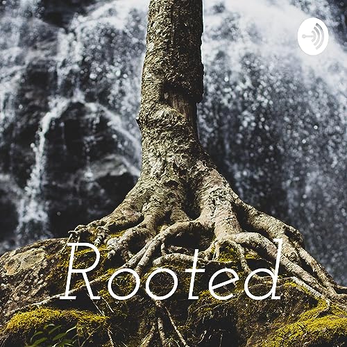 Rooted cover art