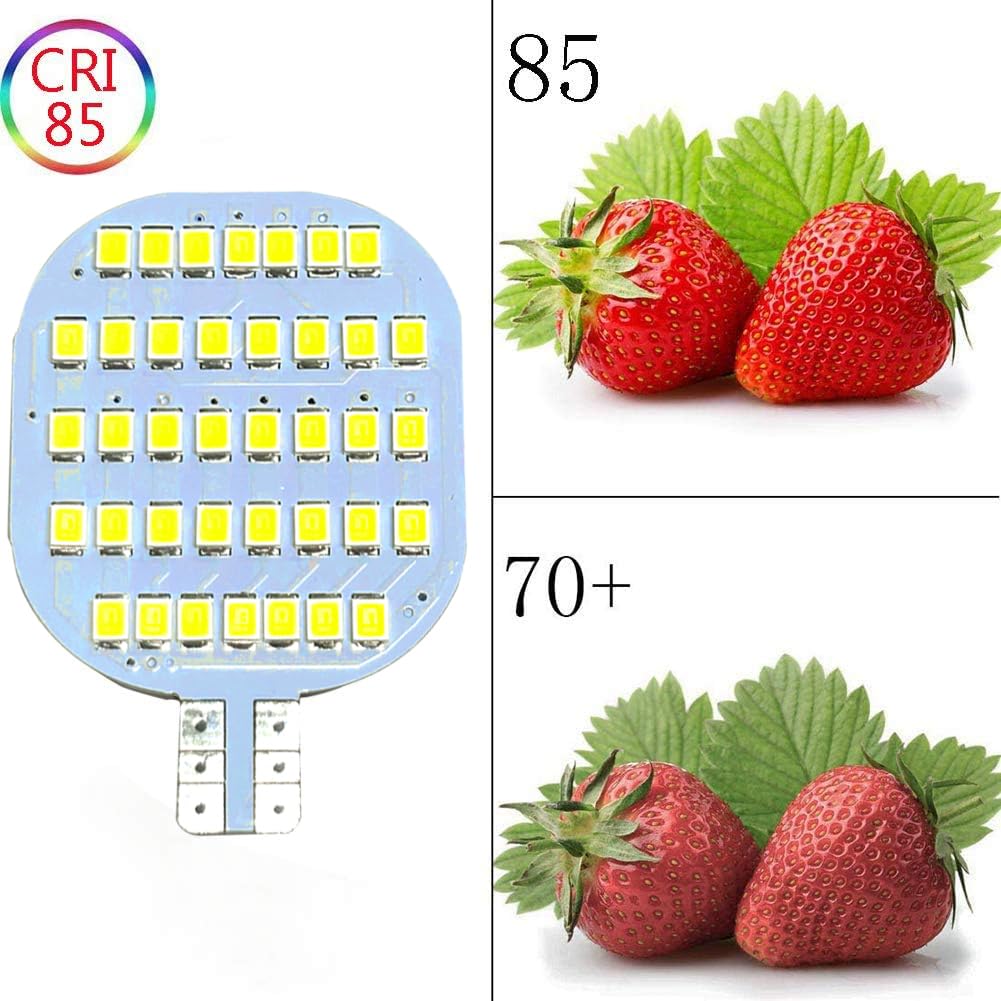 Grv T10 żarówka LED 38-2835 SMD super jasna lampa DC 13 V 2,5 W do łodzi, kampera kempingowego, sufitu kopuły