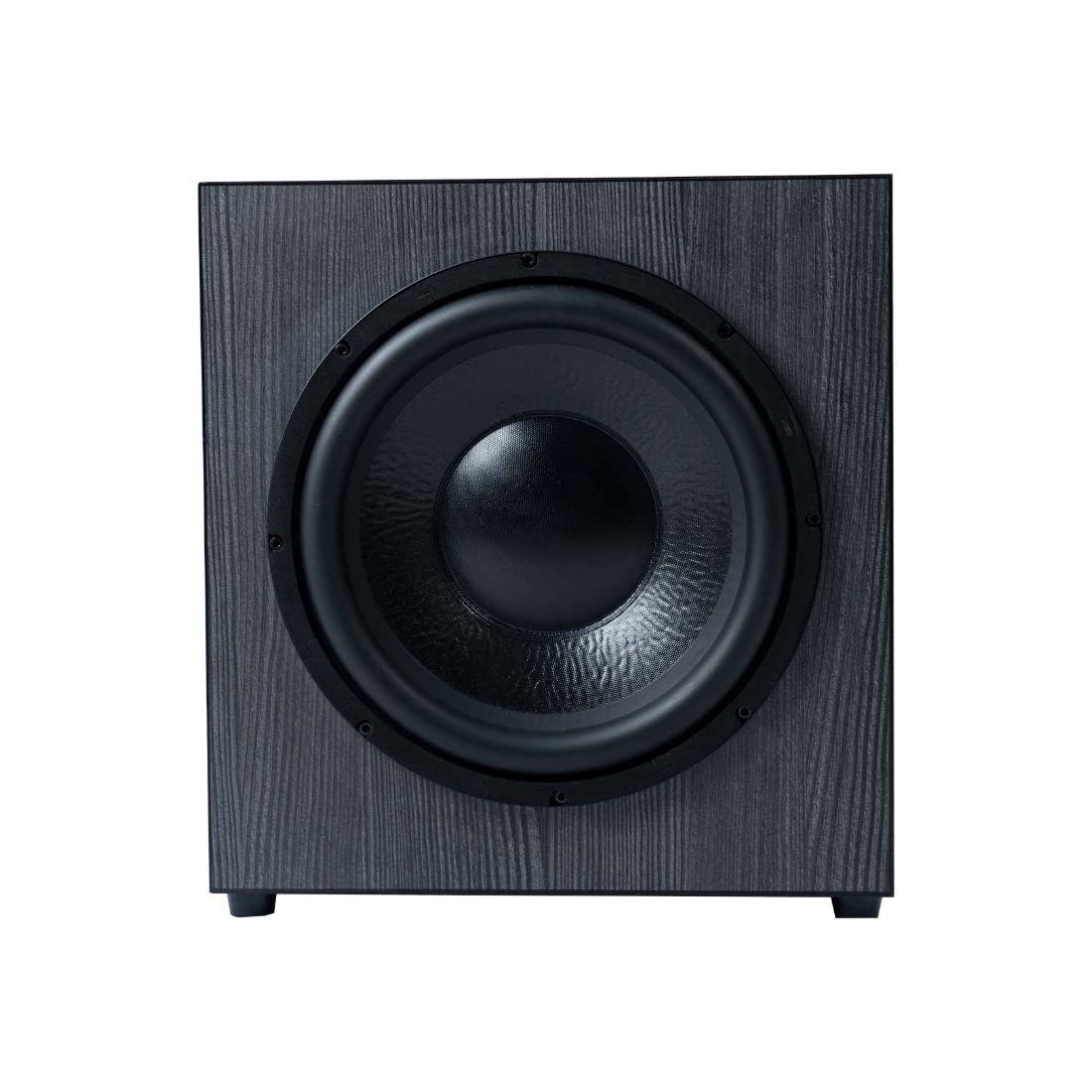 The Living Audio Symphony TLA SW300 Premium Subwoofer
