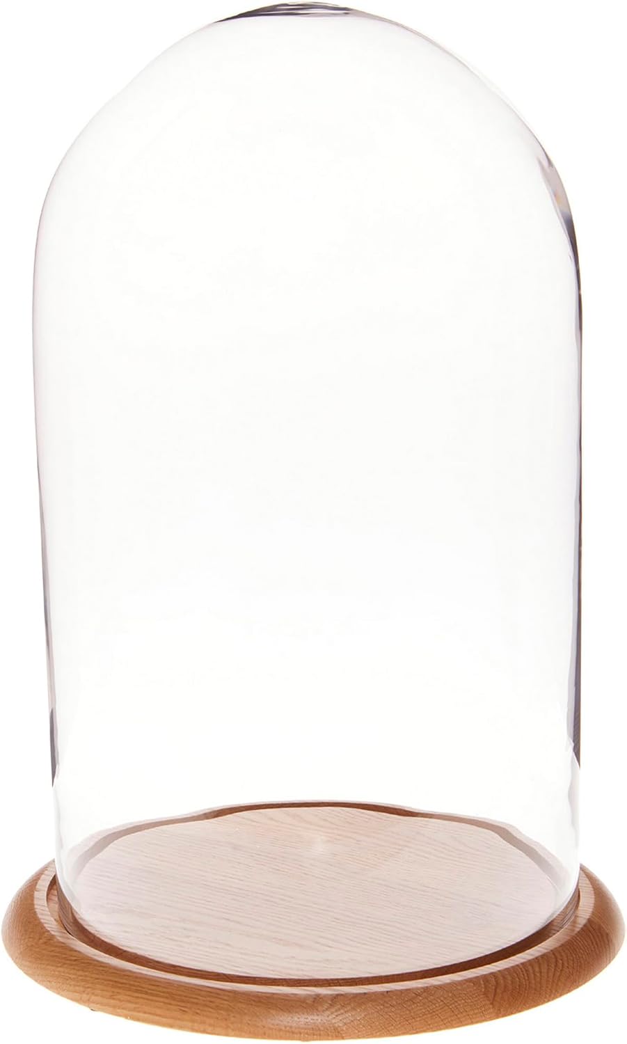 Plymor 11.75" x 20" Glass Display Dome Cloche (Walnut Veneer Base)