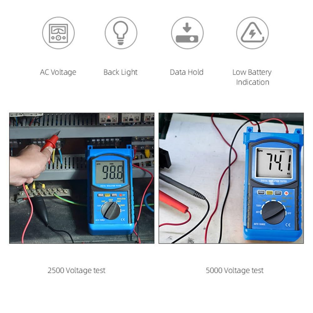 Professionale per il tester di resistenza di isolamento 500V1000V2500V5000V Digital Megohmmetro Cavo e l'ispezione dell'interruttore