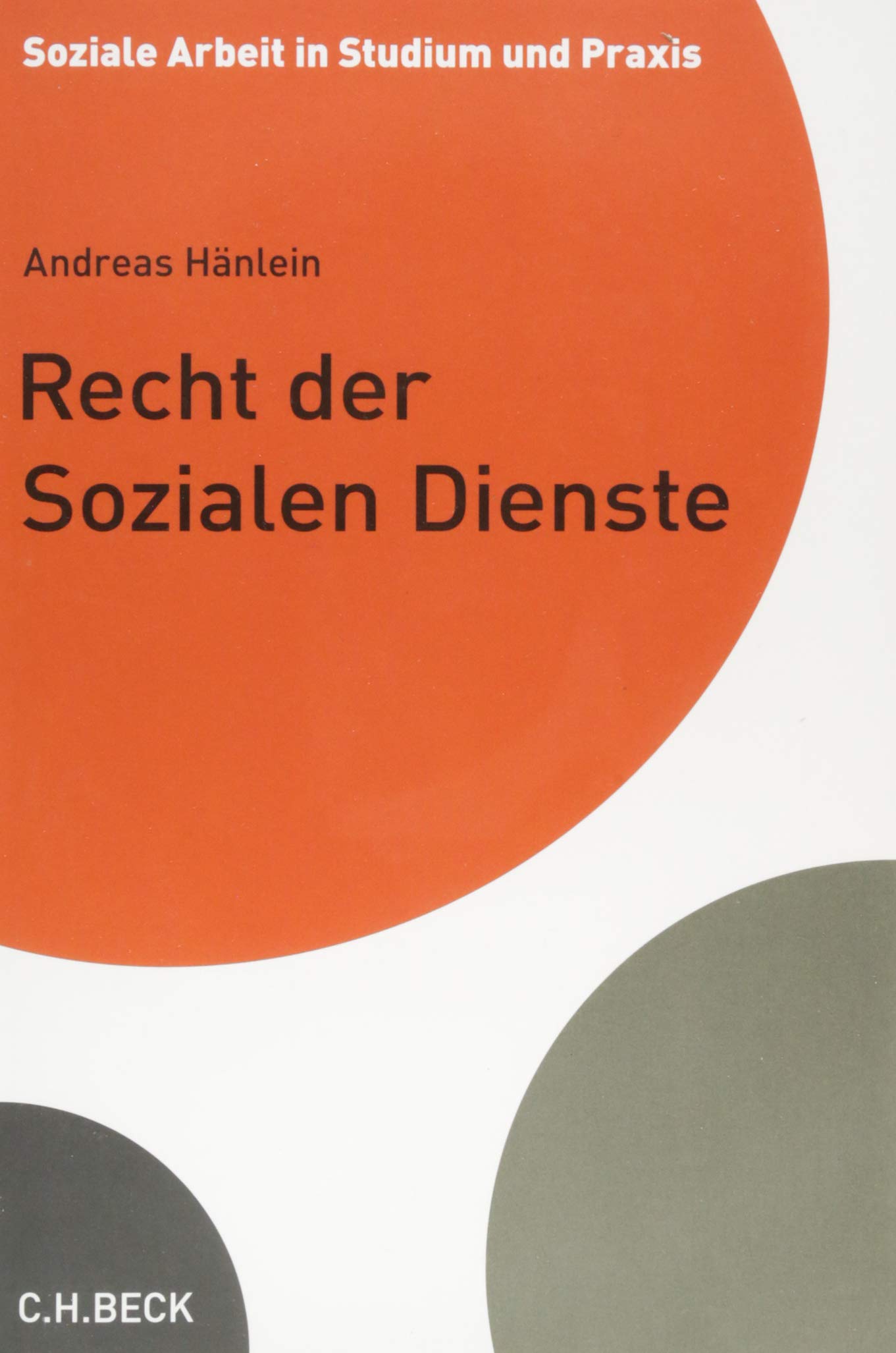 Recht der Sozialen Dienste (Soziale Arbeit in Studium und Praxis)