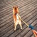 Dog Poop Bag - PetBemo Waste Bag Dispenser Premium Quality Dog Poop Dispenser With YKK Zipper For Walking, Running or Hiking Accessory