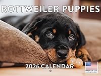 Vista 58 de Calendario de cachorro Golden Retriever 2027 mensual de pared de 12 meses