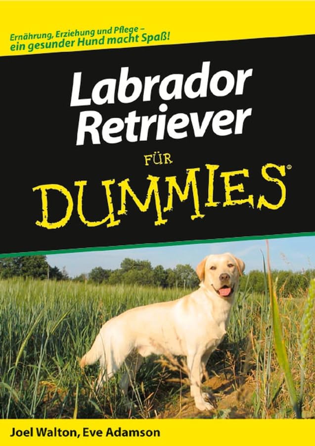 Labrador Retriever für Dummies: Ernährung, Erziehung und Pflege - ein gesunder Hund macht Spaß!