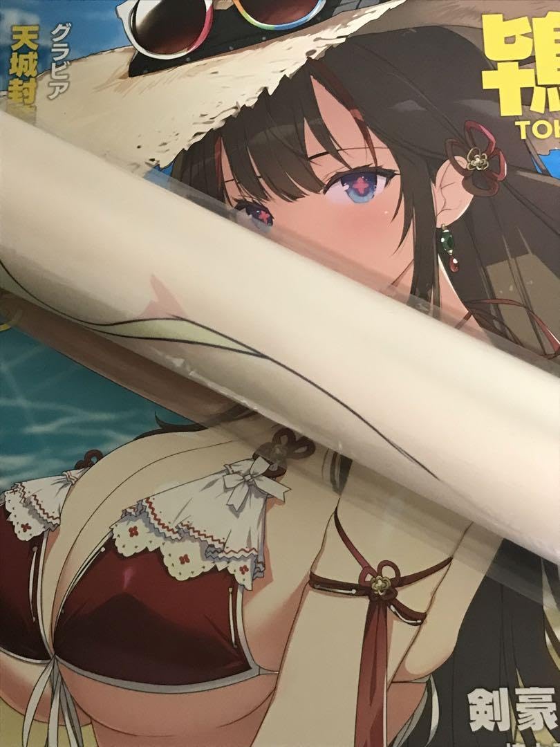 Amazon.co.jp: 閃乱カグラ シノビマスター 鴇 トキ b2 タペストリー