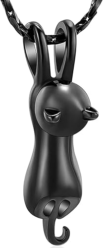 Imrsanl Joyas de cremación para mascotas, joyería conmemorativa de cenizas, recuerdo, urna de gato, colgantes para collar de cenizas de animales