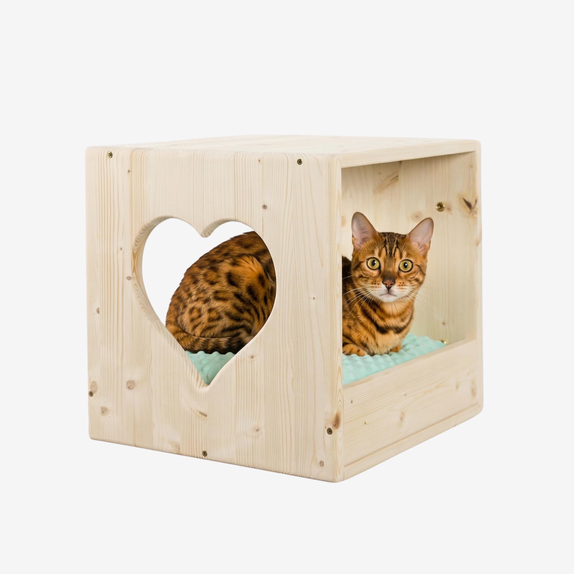 Cubo Cuccia Gatto 40x40x40cm, in Legno d'Abete PEFC Fatto a Mano, grafica Cuore e Cuscino Verde Lavabile, Cuccia per Gatti per Riposo, Giocare, e arrampicarsi, fino a 20 KG – Percorsipergatti