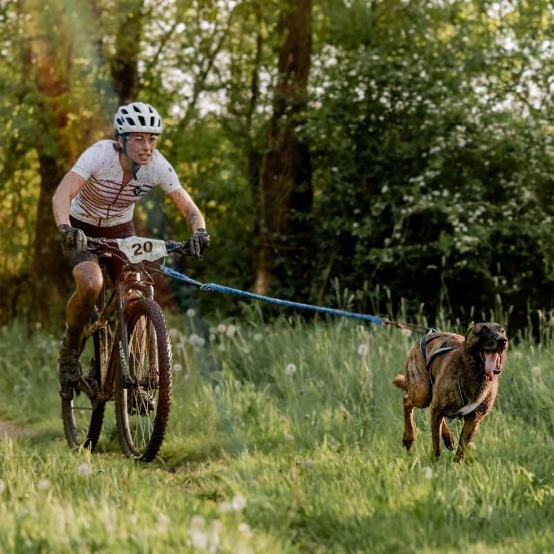 Inlandsis Cani-Mountainbike Bikejoring Bikejor Max UL - Schwarz - Bikejor Stange für Mountainbikes - für Hundebesitzer - Unisex - 20 cm - 340 g (26 Zoll) / 360 g (29 Zoll) - Bike Trailer