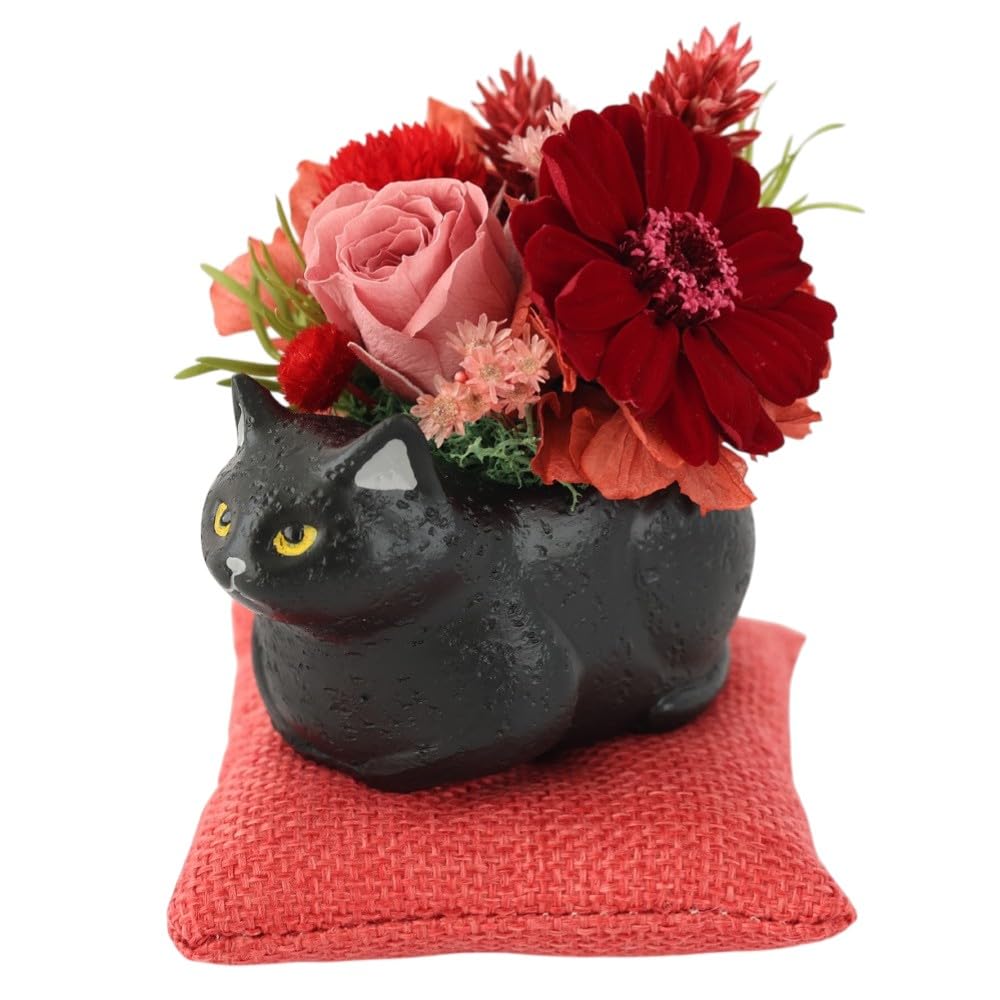 Amazon｜花由 プリザーブドフラワー 和風 くつろぎねこ (黒猫