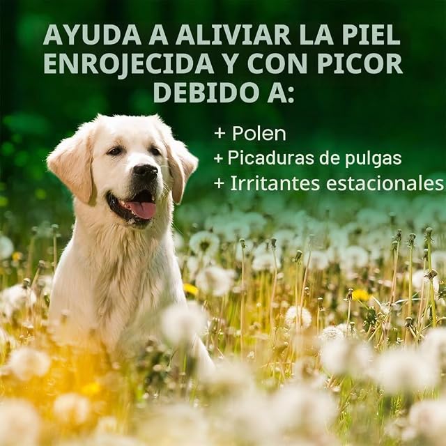 Foto 4 de 8 de Vet's Best Champú para Perros de Alivio de la Picazón de Alergia