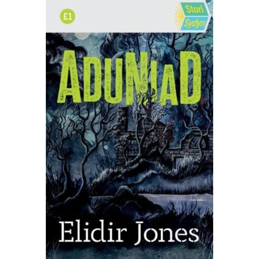 Stori Sydyn: Aduniad by Elidir Jones (Paperback Book)