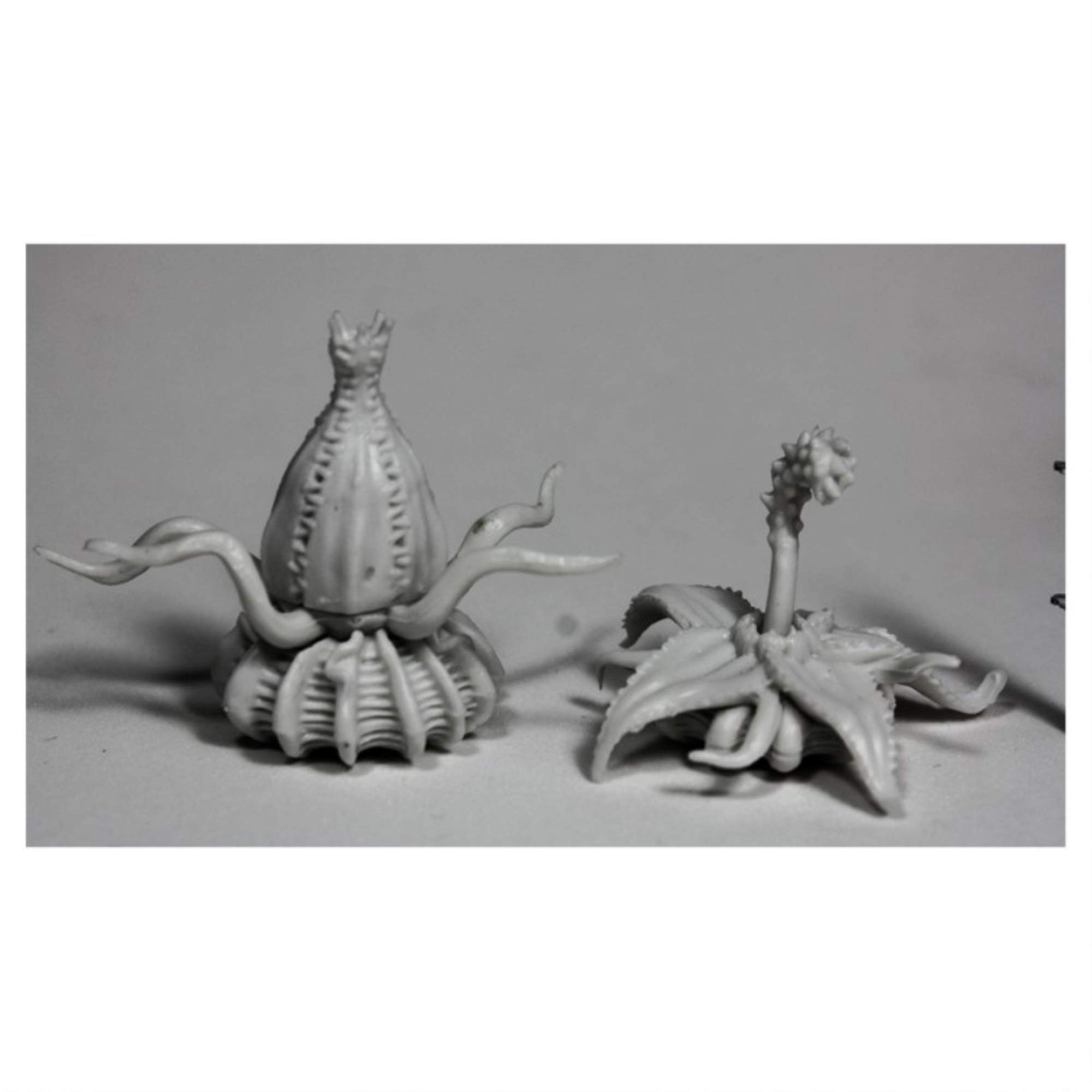 Reaper Miniatures Death Star Lilies (2) #77504 Bones RPG D&D Mini Figure