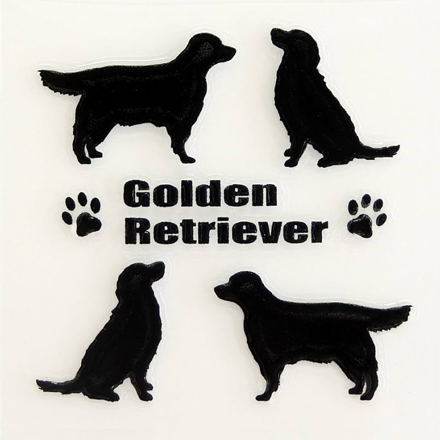 カラー銀貨 DOGS ※純銀、カプセル付きゴールデンレトリバー☆ Amazon.co.jp: [SPERANZA] K24 純金 コイン ペンダントトップ