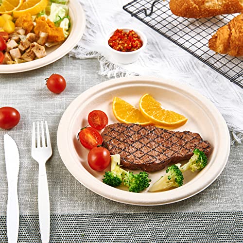 15% Off Vplus 150-Pack Compostable Paper Plates