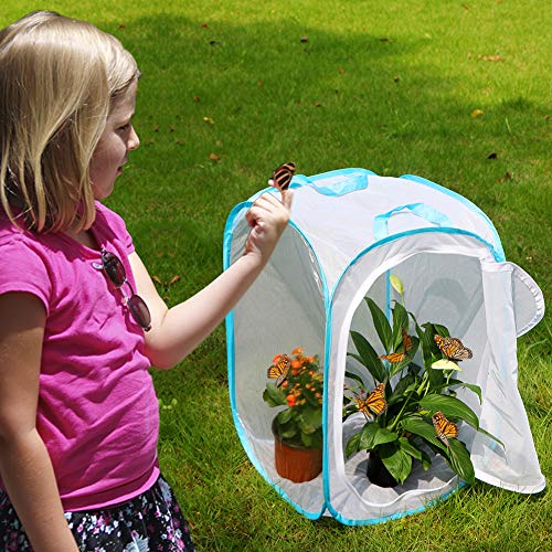 Image of RESTCLOUD Insect and Butterfly Habitat Cage Pop-up 24 Inches Tall | Mesh Enclosure Terrarium,Tight Mesh