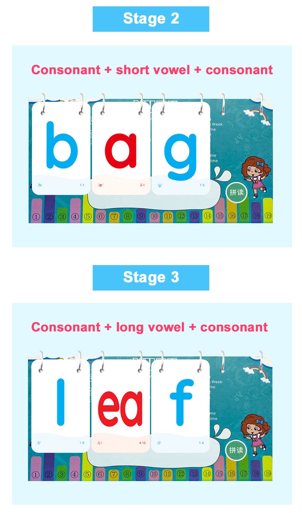 Richardy English Phonics Flashcards with 4 Syllable Flips Spelling Flip Cards Kids Educational Learning Toys Children Reading Games Vocabulary Building 252 Cards Level 2 - Image 5