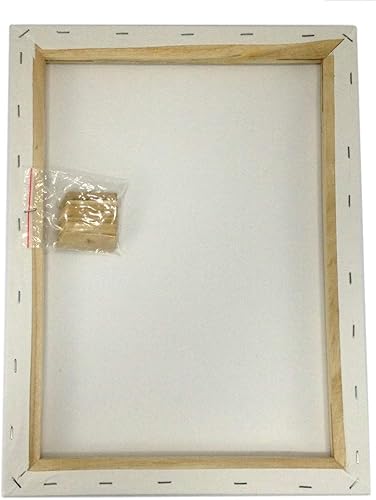 Miniatura 4 de Lote 2 Lienzo para artistas, 12 x 16 pulgadas, preestirado en blanco, de algodón, doble gesso