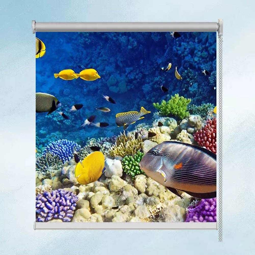 Store enrouleur occultant avec motif paysage sous-marin, pour chambre d'enfant, chambre à coucher, salle de bain, cuisine, tissu imperméable et résistant à l'huile
