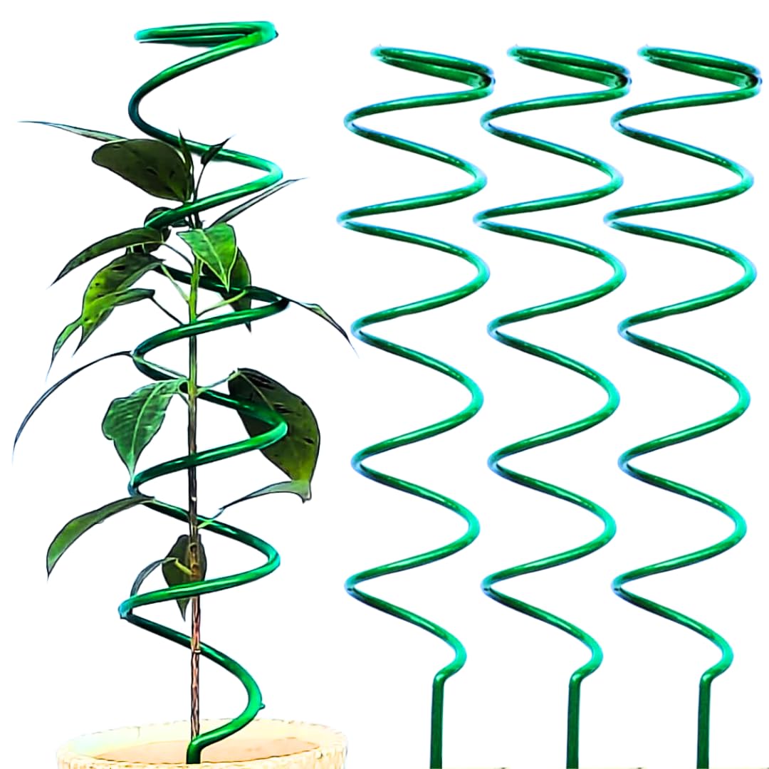Trelliskart Plant Support Stakes Spiral Stick Tomato Cages Climbing Plant Stake Tower for Money Plant, Plant Supports Frame for Potted Plant, Garden Trellis Plant Stick- Set of 3, Green Color (B0D91187V8) Amazon Price History, Amazon Price Tracker